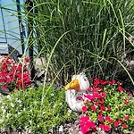 Ferienbungalow Auf Gartengrundstueck By Interhome * Wittenbeck