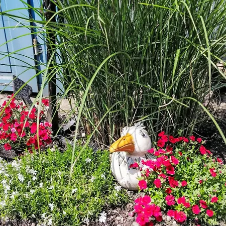 Ferienbungalow Auf Gartengrundstueck By Interhome * 비텐베크
